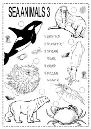 English Worksheet: SEA ANIMALS 3