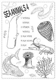 English Worksheet: SEA ANIMALS 4