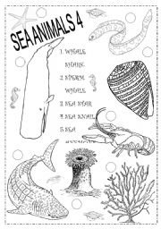 SEA ANIMALS 4