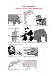 English Worksheet: color the animals