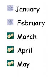 English Worksheet: months