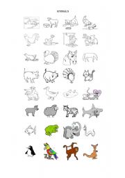 English worksheet: animals