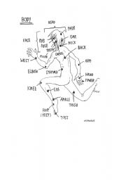 English worksheet: Body