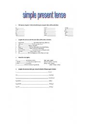 English Worksheet: Practical work 