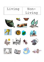 English Worksheet: Living and Non-living