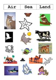 English worksheet: Land, air and sea animals