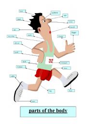 English Worksheet: Parts of the body