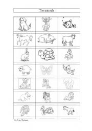 English Worksheet: the animals