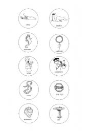 English Worksheet: S-Sound
