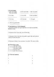 English worksheet: test