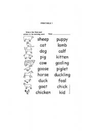 English Worksheet: ANIMALS AND THEIR BABIES