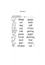 English worksheet: ANIMALS AND THEIR BABIES