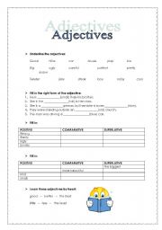 English worksheet: Mixed adjectives