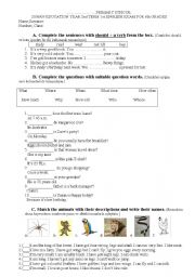English Worksheet: second term first written exam for 6th graders(spring-Turkish students)
