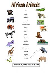 African Animals