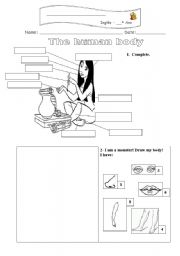 English Worksheet: The Human Body