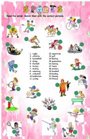 English Worksheet: kinds of sports