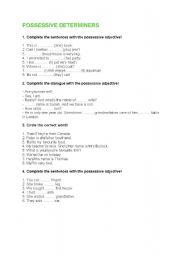 English Worksheet: POSSESSIVE DETERMINERS