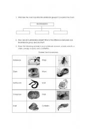 English Worksheet: Invertebrates Classification