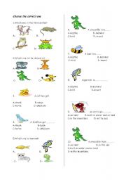 English Worksheet: Animals quiz part-1