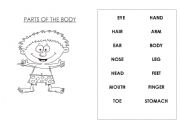 English Worksheet: parts of the body