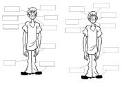English Worksheet: Parts od the body of Shaggy