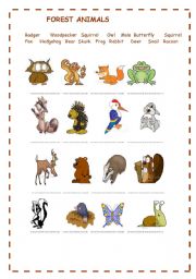 FOREST ANIMALS