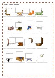 English worksheet: FOREST ANIMALS 2