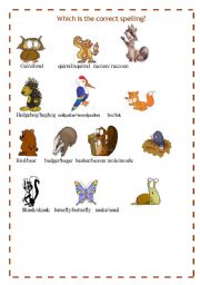 English worksheet: FOREST ANIMALS 3