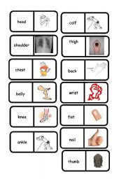 English Worksheet: body domino 2/2