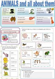 English Worksheet: ANIMALS AND ALL ABOUT THEM!