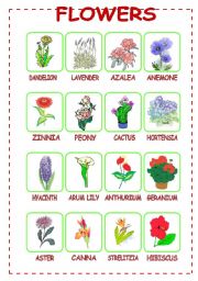 English Worksheet: Flowers (3/3)