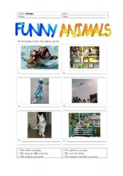 Funny animals (+ actions)