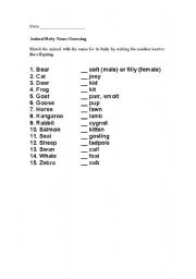 English worksheet: Animal Baby Name Matching