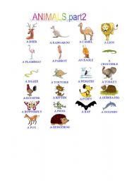 English Worksheet: PICTIONARY ANIMALS part2