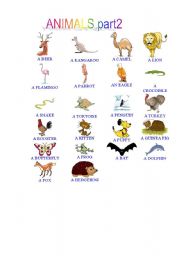 English worksheet: PICTIONARY ANIMALS part2