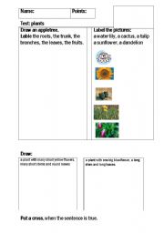 English Worksheet: Test plants