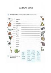 English Worksheet: Animal quiz