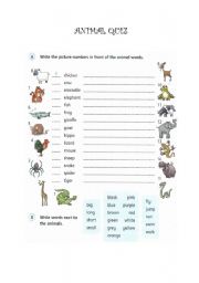 English worksheet: Animal quiz