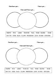 English worksheet: Parts of animals