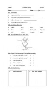 English Worksheet: Plants