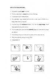 English Worksheet: Life cycle canterpillar