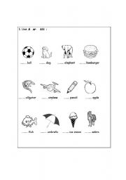 English worksheet: Use  A  or  AN