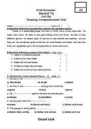 English Worksheet: Reading Comprehension Test