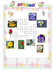 English worksheet: SPRING crossword