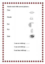 English worksheet: my body