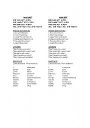 English Worksheet: HAS/ HAVE GOT