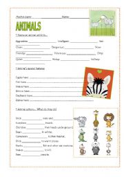 English Worksheet: Animals