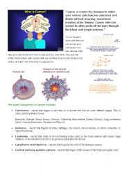 English Worksheet: Cancer and Cells