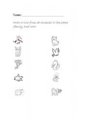 English worksheet: Animals Family